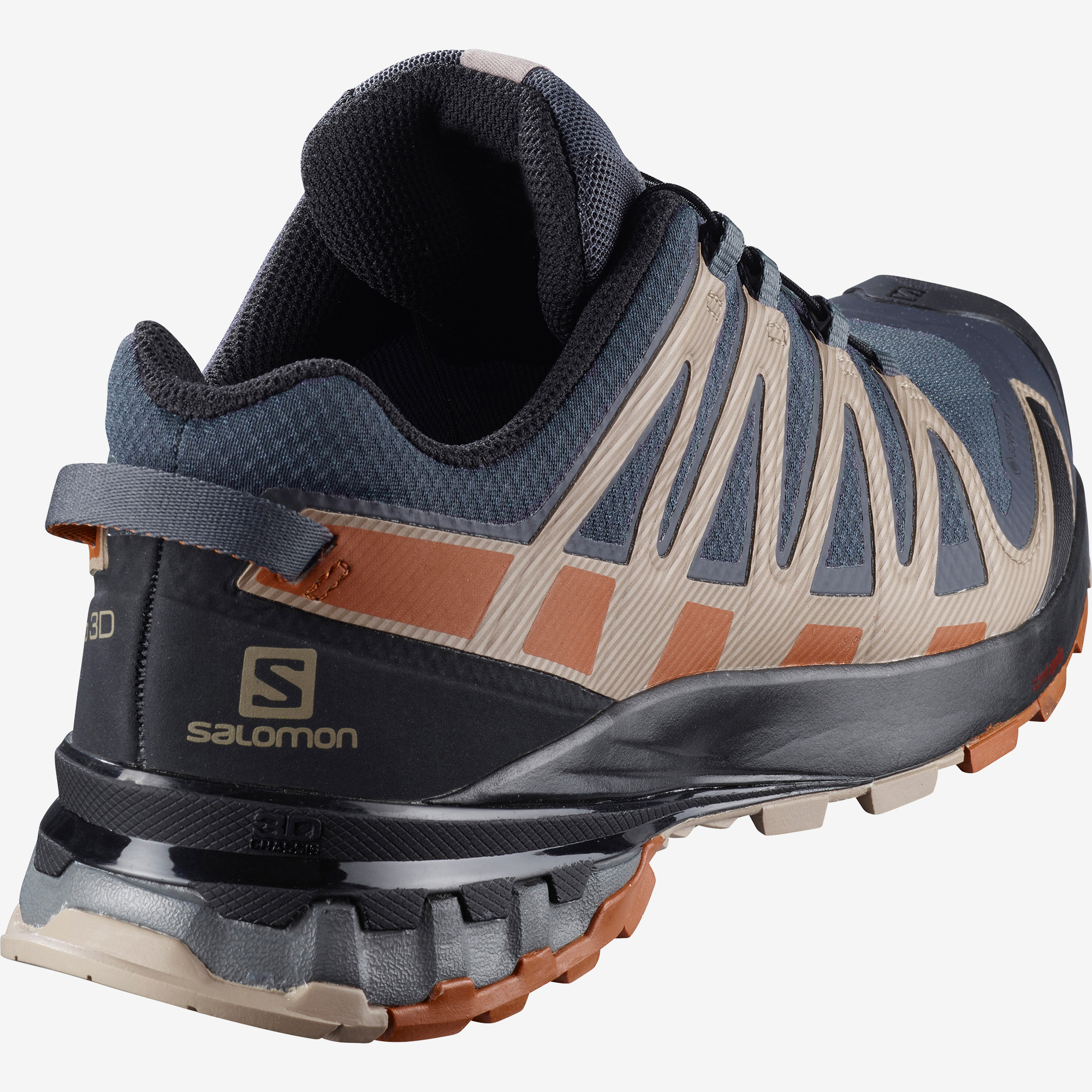 Salomon XA PRO 3D V8 offers GORE-TEX